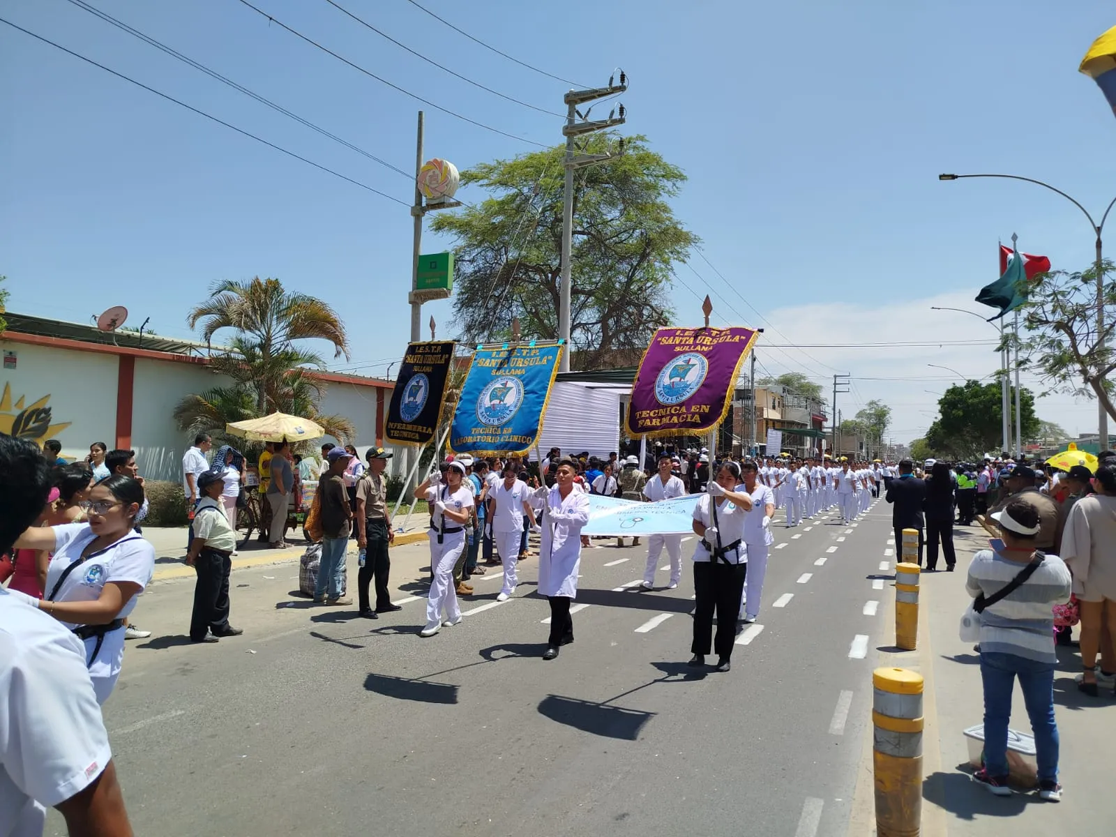 Imagen 26